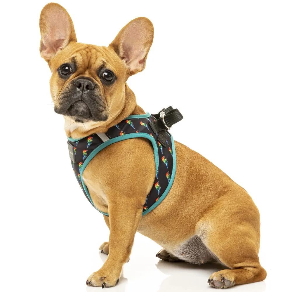 10% OFF: FuzzYard Step-In Dog Harness (Volt!)