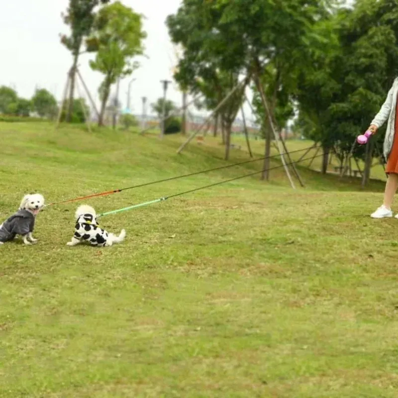 2 in 1 Dog Leash