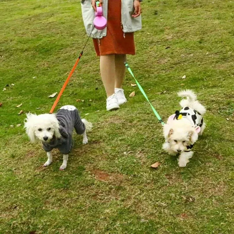 2 in 1 Dog Leash
