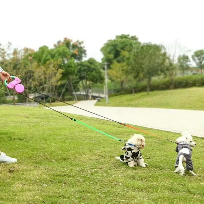 2 in 1 Dog Leash