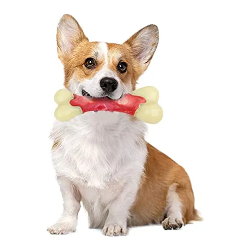 ALL FOR PAWS Dog Chew Toy Nylon & Rubber Mix Bone for Strong Chewers, Puppy Teething Chew Stick Toys