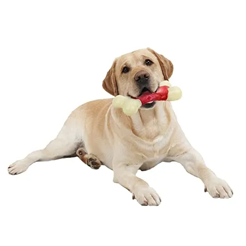 ALL FOR PAWS Dog Chew Toy Nylon & Rubber Mix Bone for Strong Chewers, Puppy Teething Chew Stick Toys