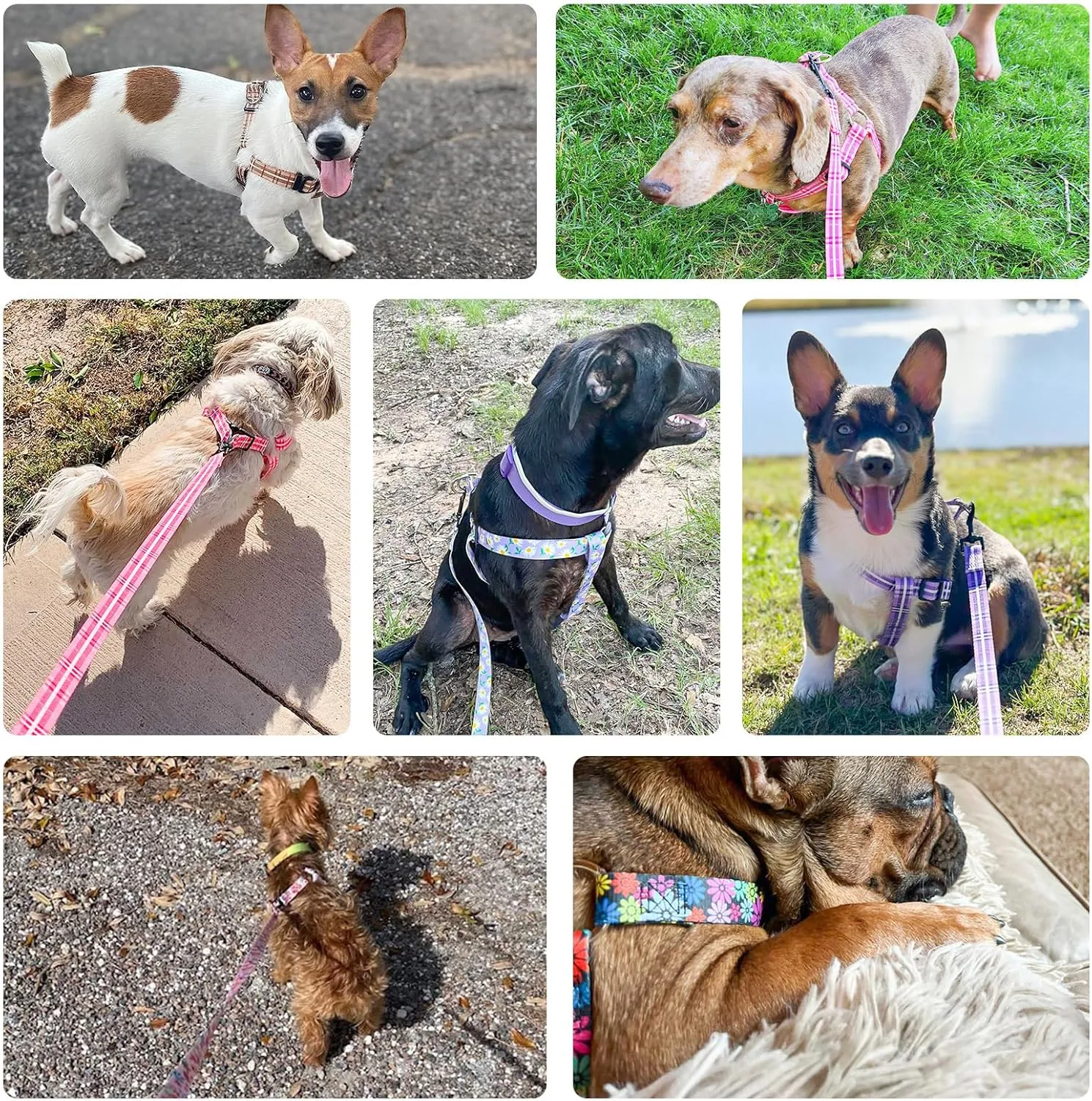 BEAUTYZOO No Pull Dog Harness and Leash Set - Adjustable Step-in Puppy Harness for Medium Large Dogs, Escape Proof Soft Nylon Vest with Double D Ring for Walking Running Training, Pink Plaid L