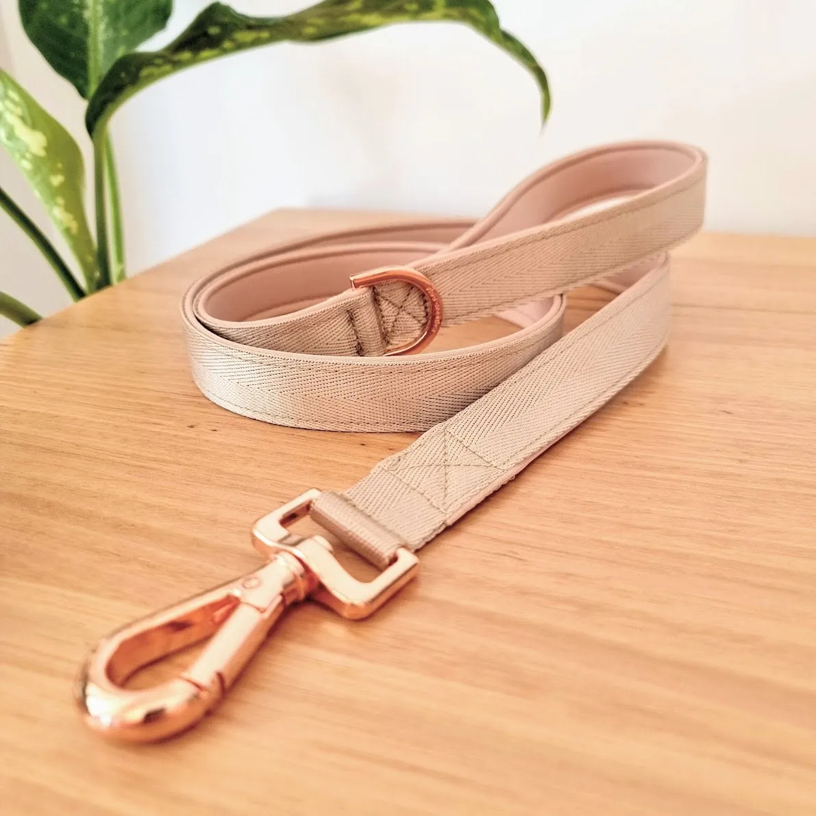 Beige dog leash - neoprene padded