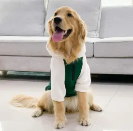Big dog clothes spring and autumn thin section golden retriever Labrador Samoyed anti-hair loss medium-sized dog large dog autumn and winter clothes