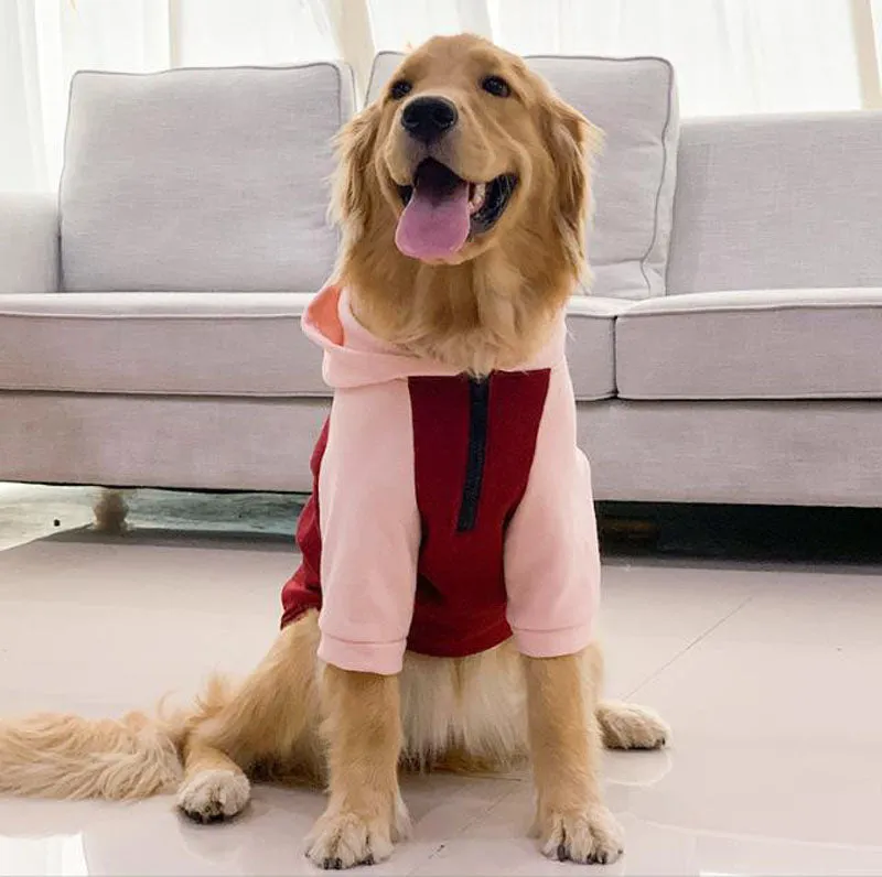 Big dog clothes spring and autumn thin section golden retriever Labrador Samoyed anti-hair loss medium-sized dog large dog autumn and winter clothes