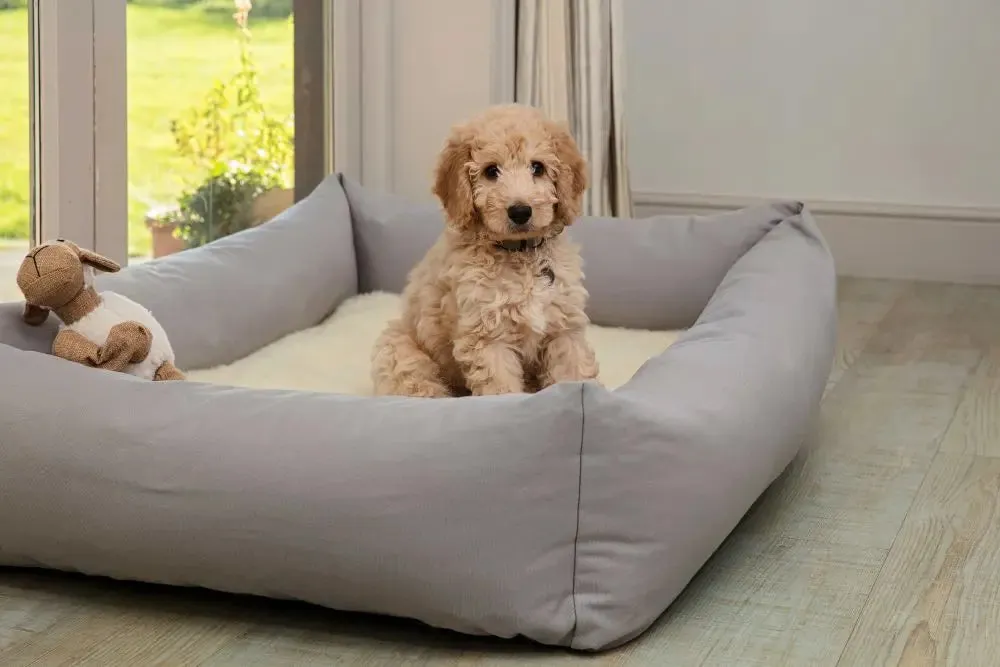 Burnham Bolster Dog Bed - Stone - Various Sizes