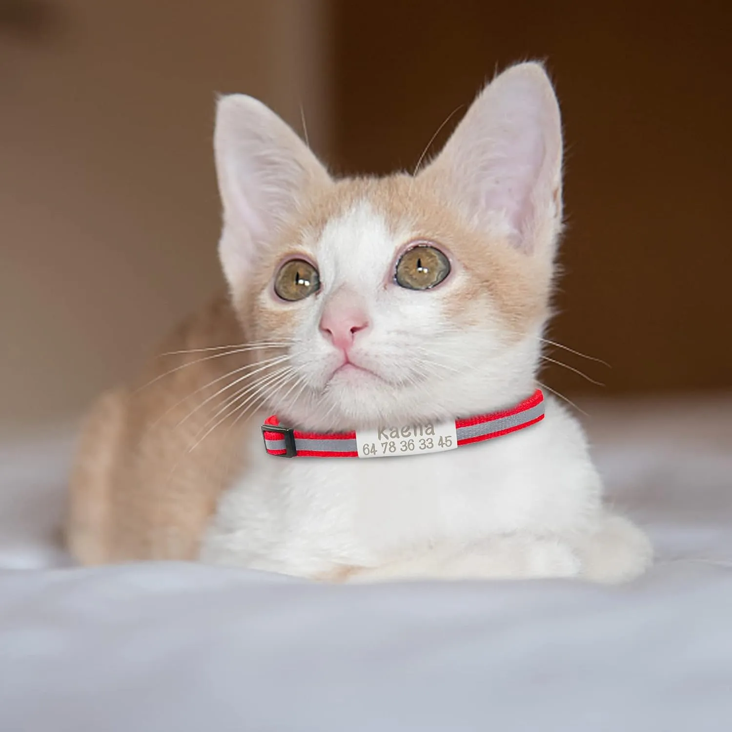 CAMAL Reflective Cat Collar Personalized with Pet ID Tag, Safety Breakaway Cat Collar with Name Tag, Fluorescent Green Kitten Collar with Bell for Boy Girl Cats Puppies