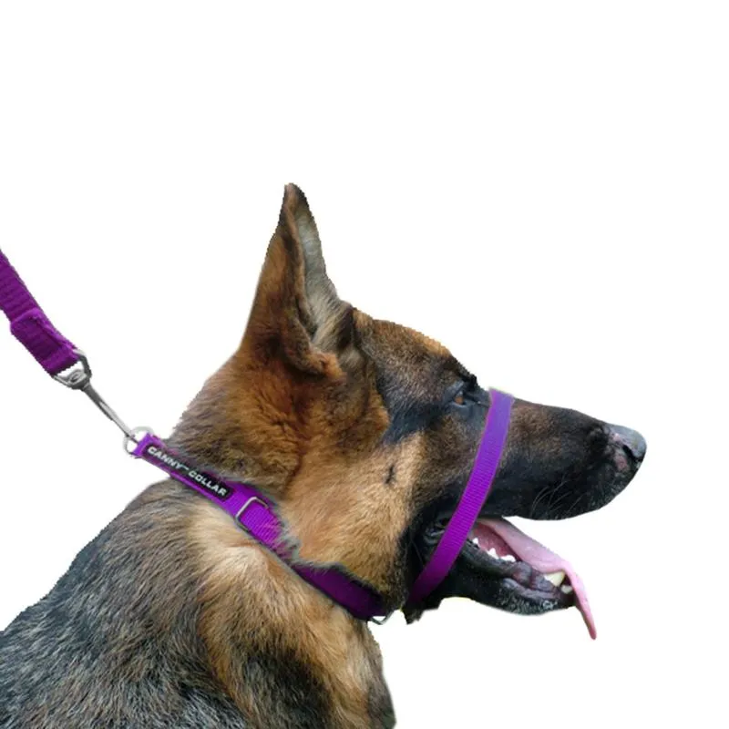 Canny collar