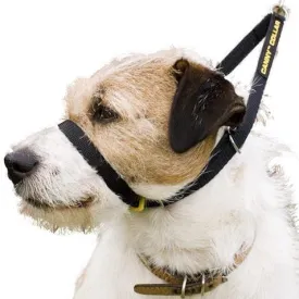 Canny collar