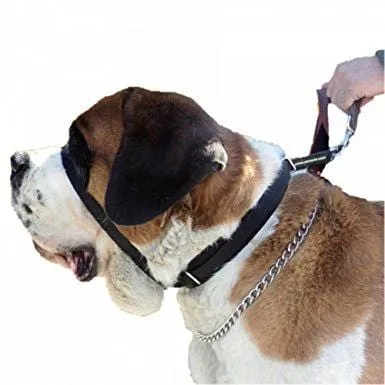 Canny collar