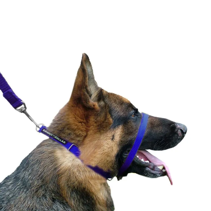 Canny collar