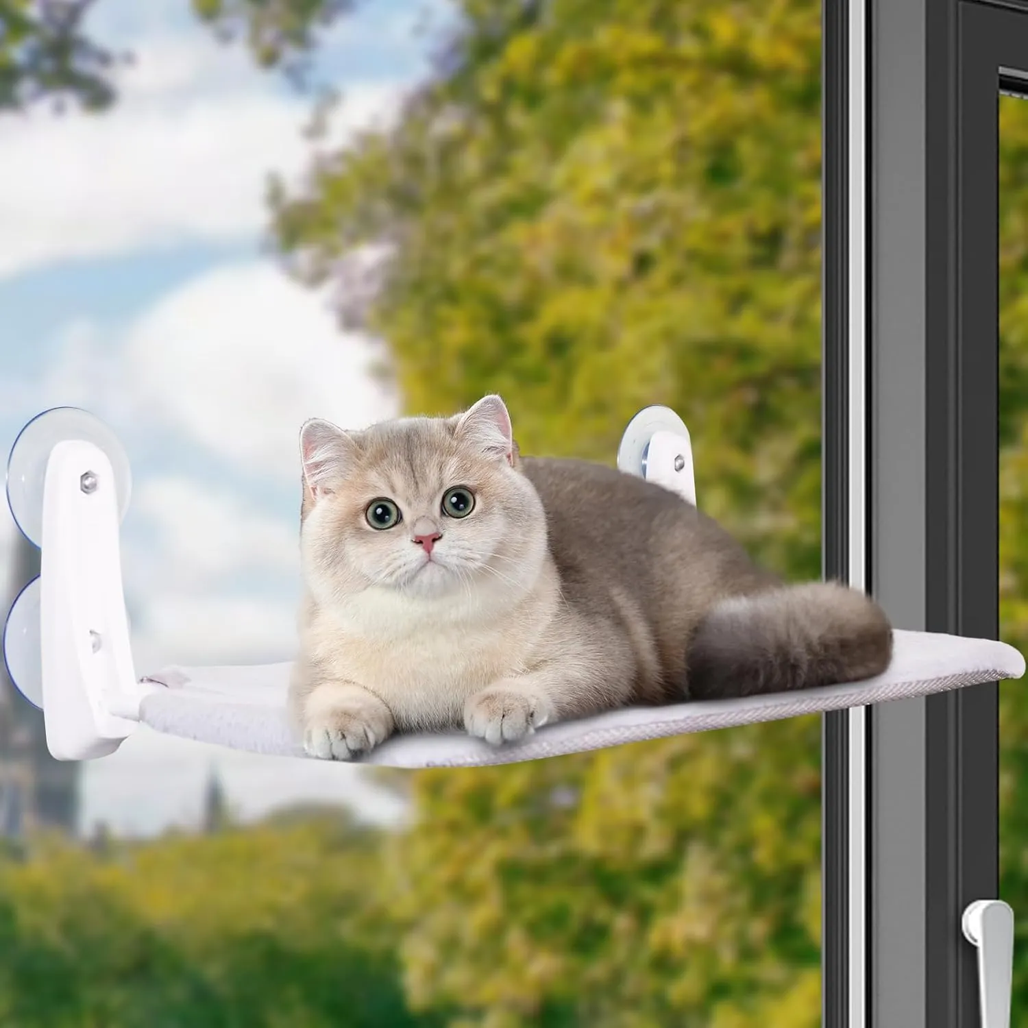 Cat Window Perch, Foldable No-Rope Hammock, Sturdy Cat Hammock Bed Window Seat with 8 Suction Cups with Dual-Sided Bed for All Seasons, Provide a Convenient Environment for Cats to Play