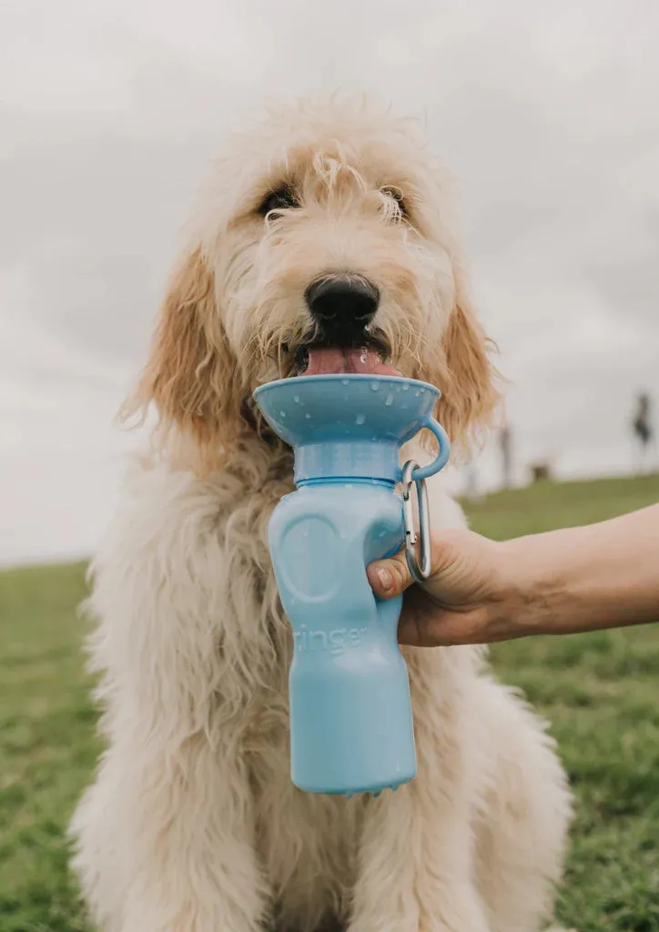 Classic Dog Travel Bottle 22oz - Sky Blue