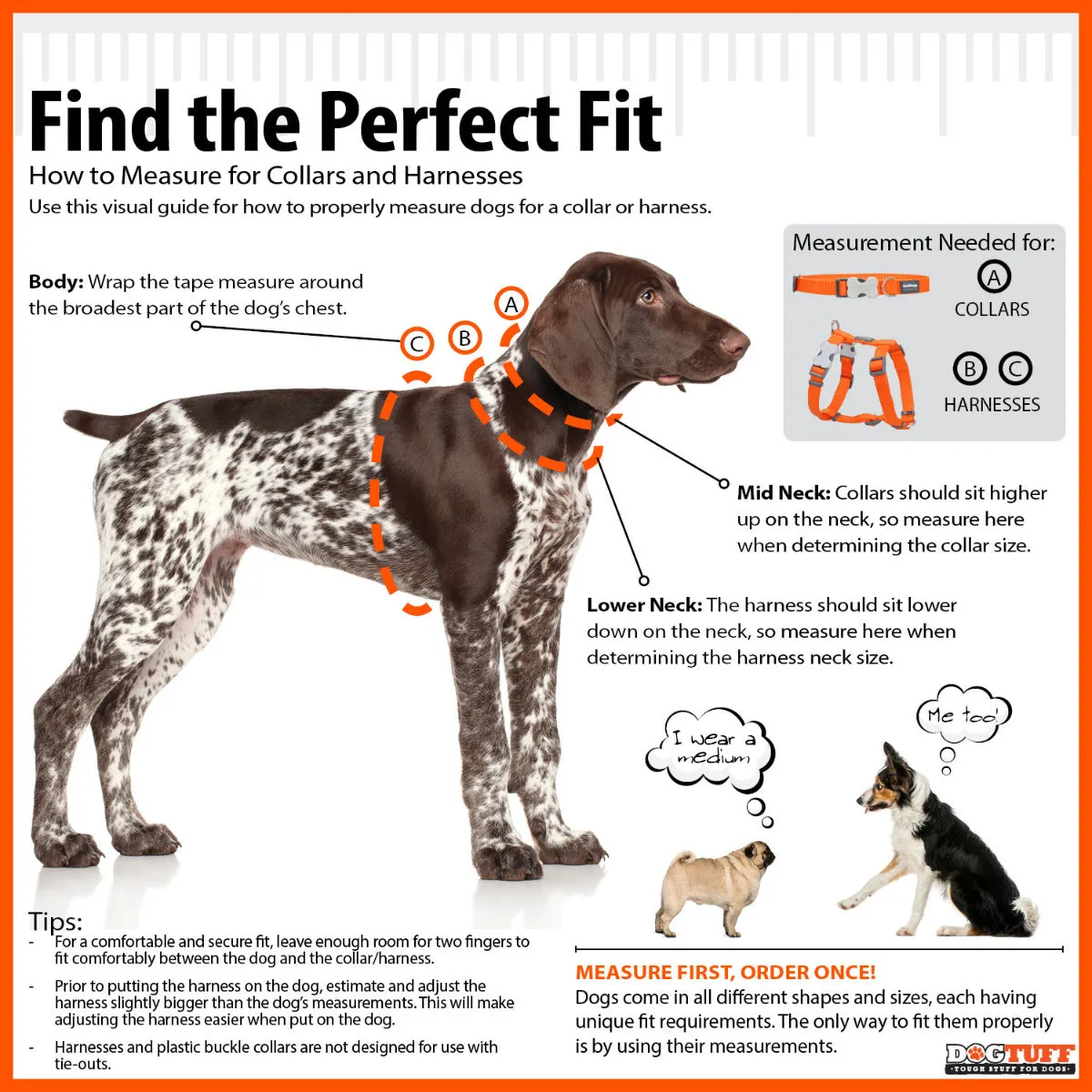 Classic Red Dog Collar