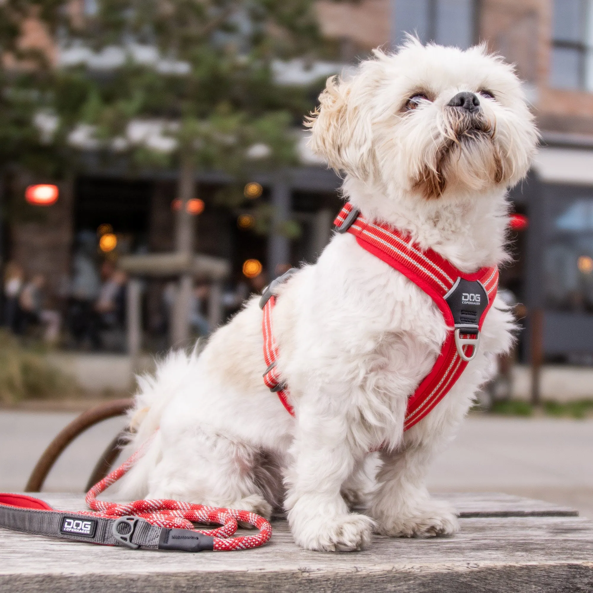 Copenhagen Comfort Walk Air Dog Harness-Pink