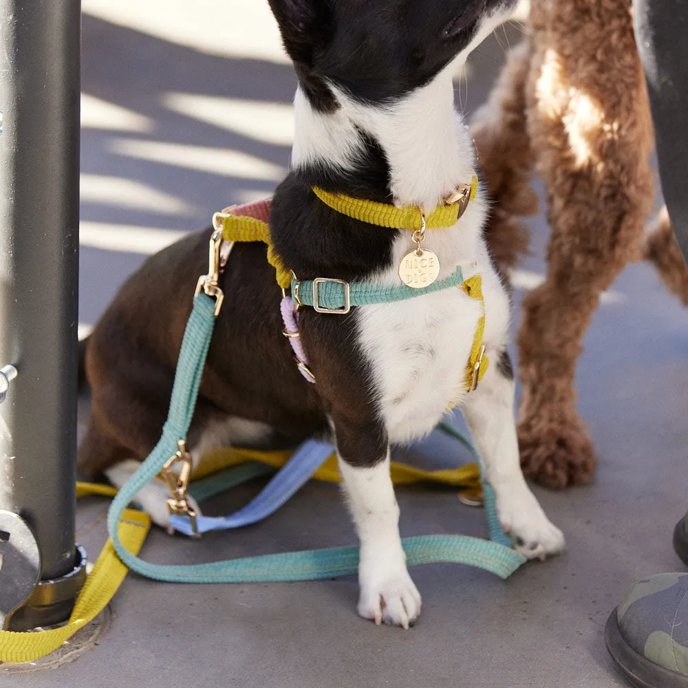 Cord Adjustable Dog Leash - Cloud Burst