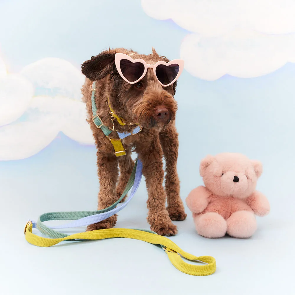 Cord Adjustable Dog Leash - Cloud Burst