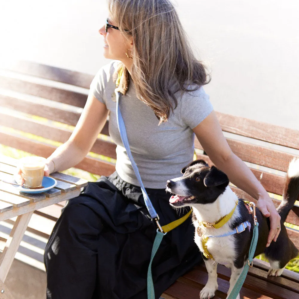 Cord Adjustable Dog Leash - Cloud Burst