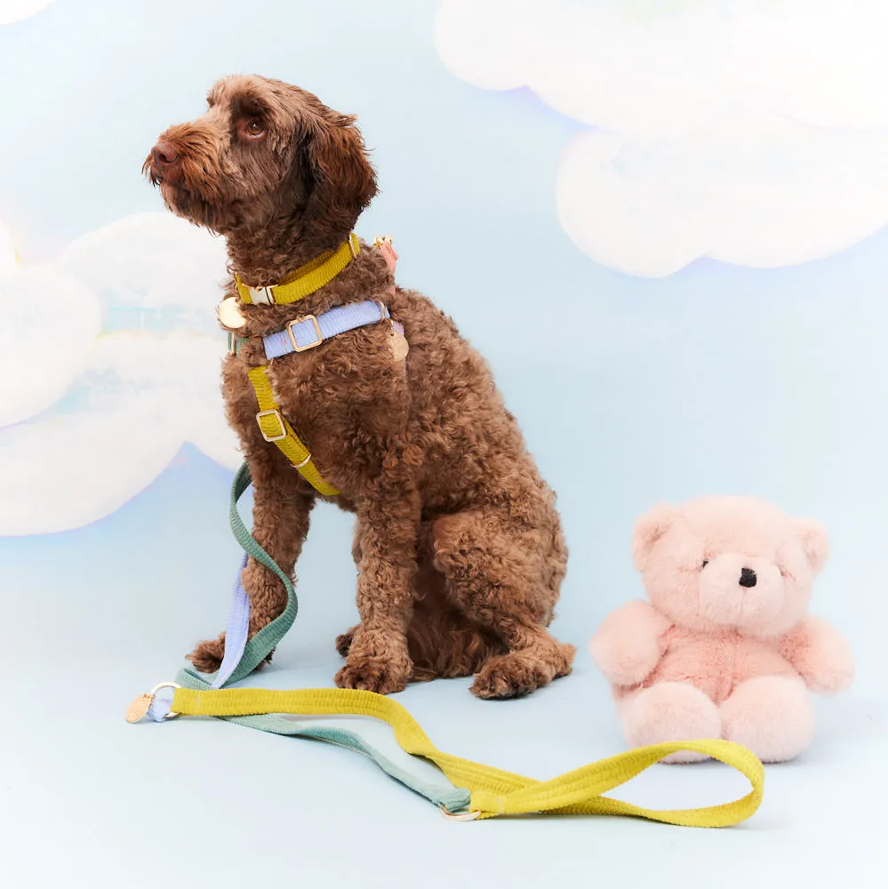 Cord Adjustable Dog Leash - Cloud Burst