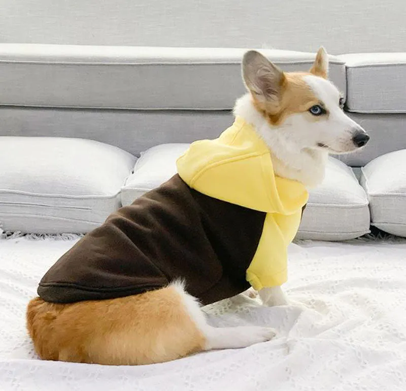 Corgi dog clothes spring and autumn thin section small and medium-sized dog autumn hair loss prevention pet