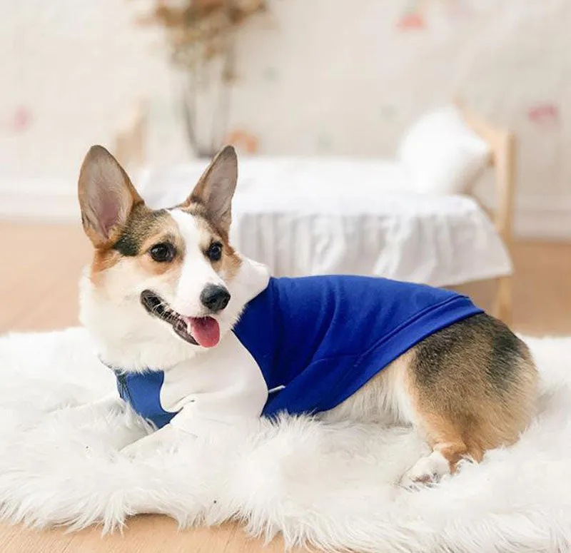 Corgi dog clothes spring and autumn thin section small and medium-sized dog autumn hair loss prevention pet