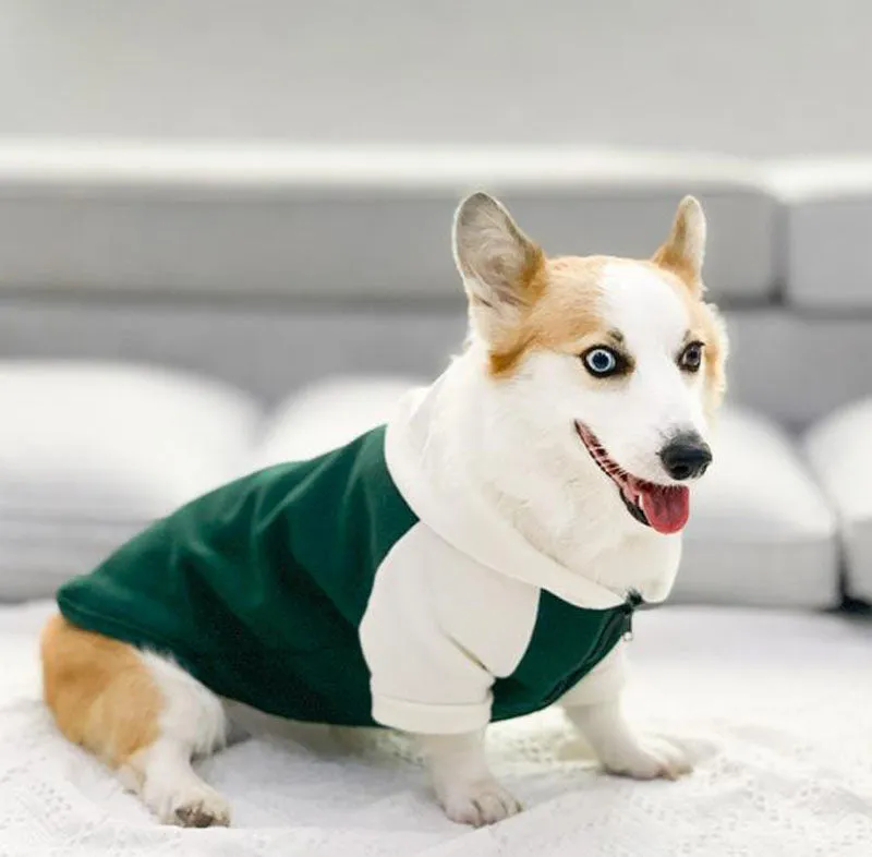 Corgi dog clothes spring and autumn thin section small and medium-sized dog autumn hair loss prevention pet