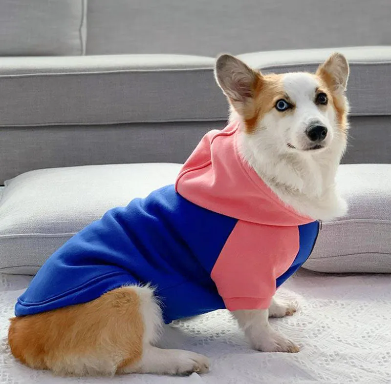 Corgi dog clothes spring and autumn thin section small and medium-sized dog autumn hair loss prevention pet