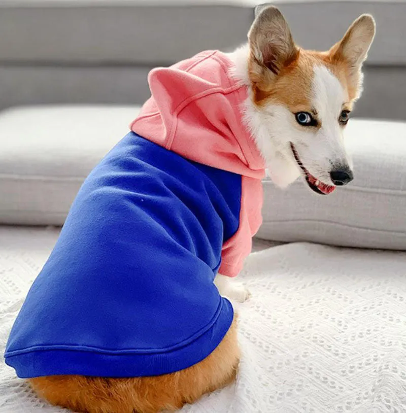 Corgi dog clothes spring and autumn thin section small and medium-sized dog autumn hair loss prevention pet