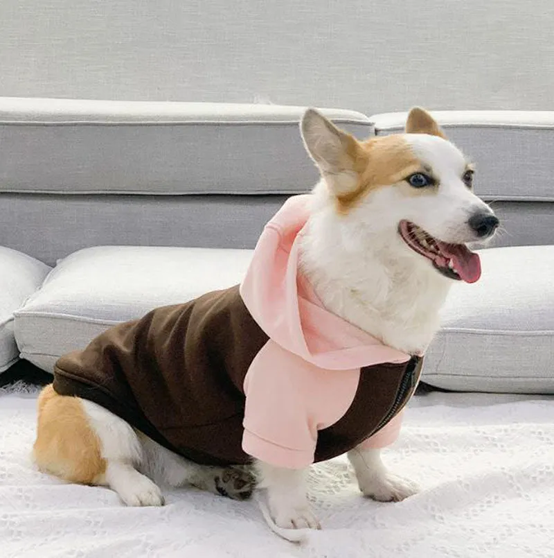 Corgi dog clothes spring and autumn thin section small and medium-sized dog autumn hair loss prevention pet