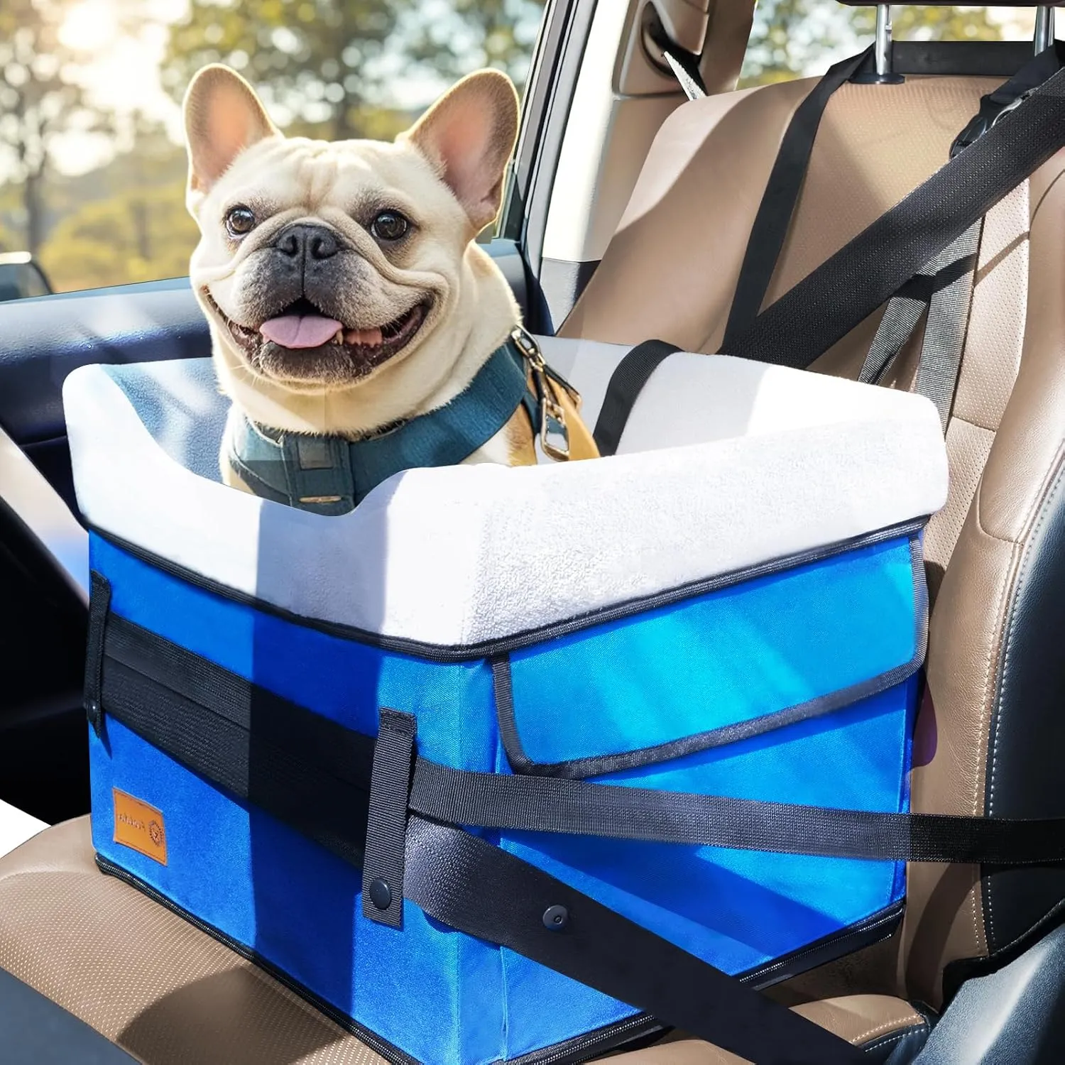 Dog Booster Car Seat for Small Dogs up to 25 lbs, Multi-Protection Elevation with Clip-On Safety Leash, Comfy, Fully Detachable Washable Blue Pet Seat