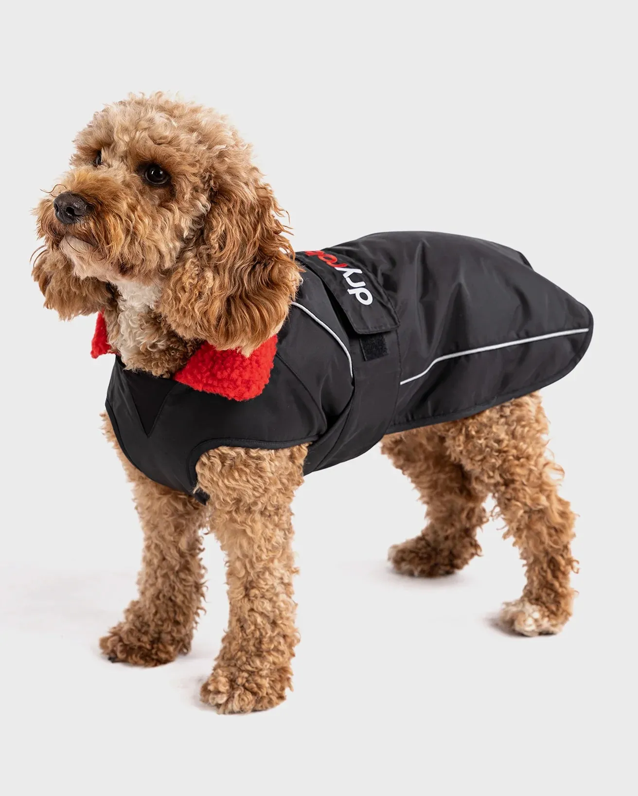 Dog Dryrobe in Black & Red