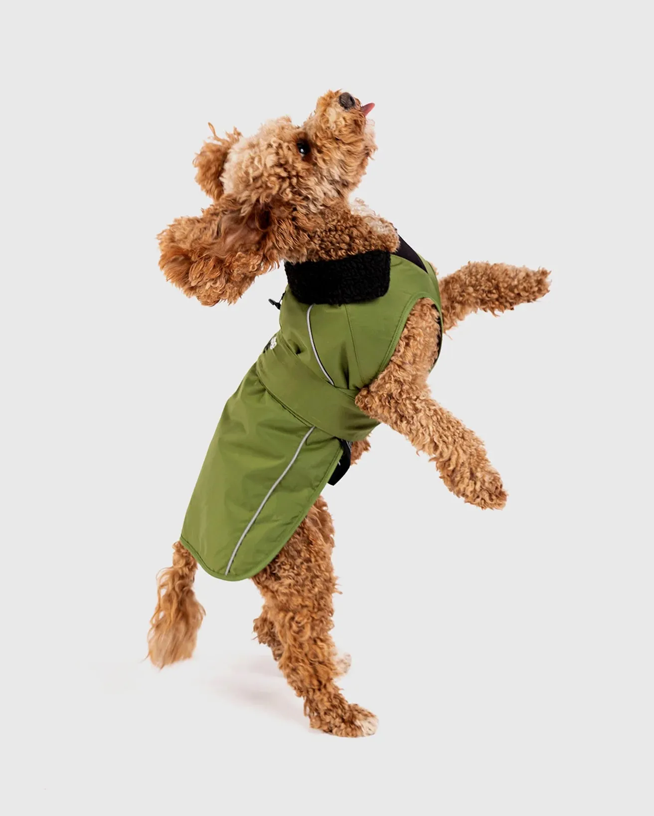 Dog Dryrobe in Forest Green & Black