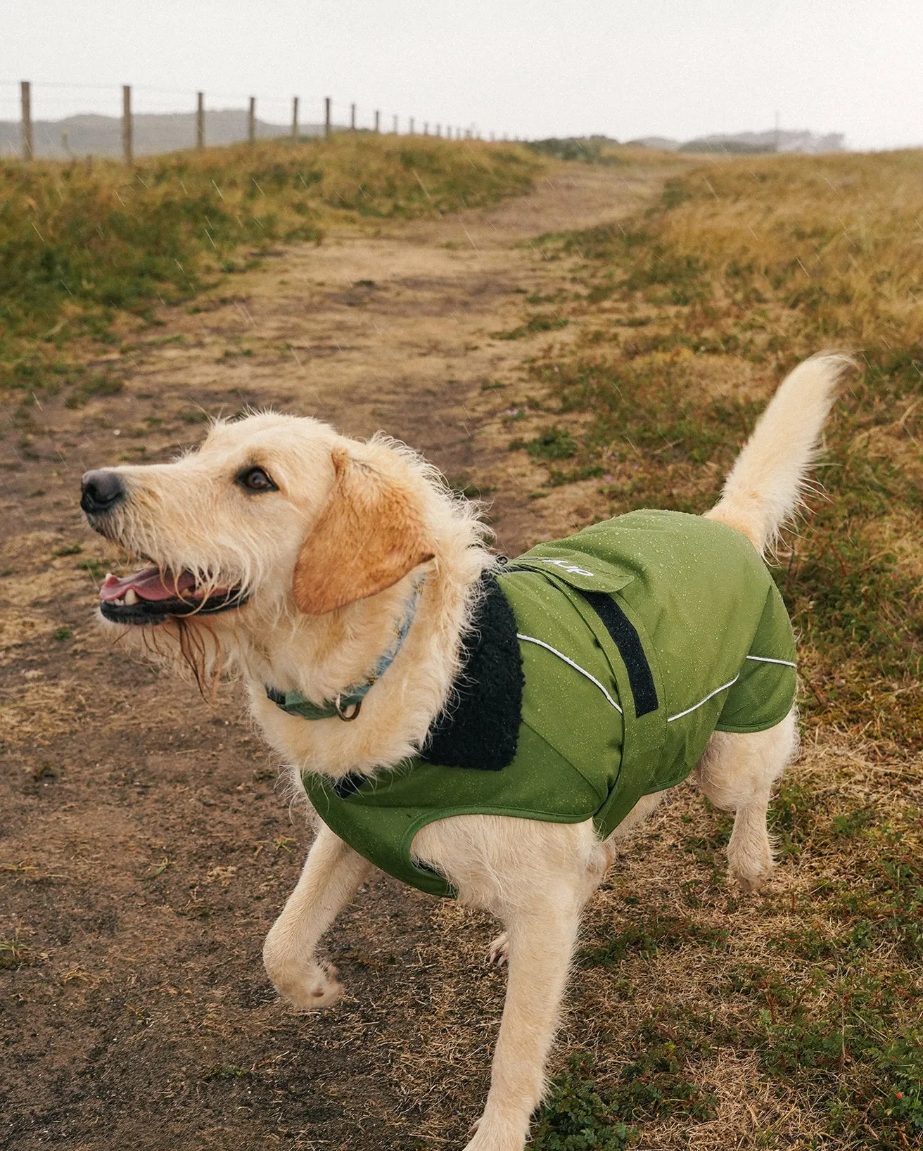 Dog Dryrobe in Forest Green & Black