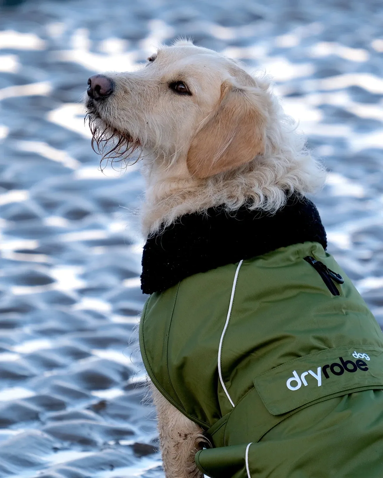 Dog Dryrobe in Forest Green & Black