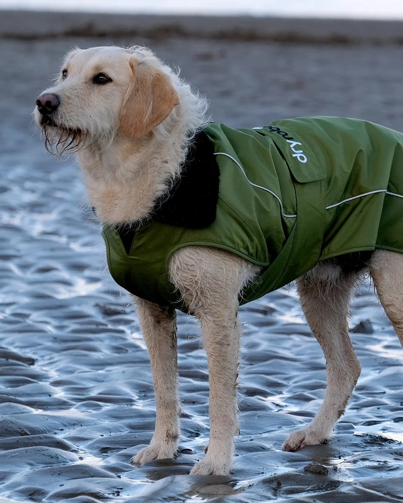 Dog Dryrobe in Forest Green & Black