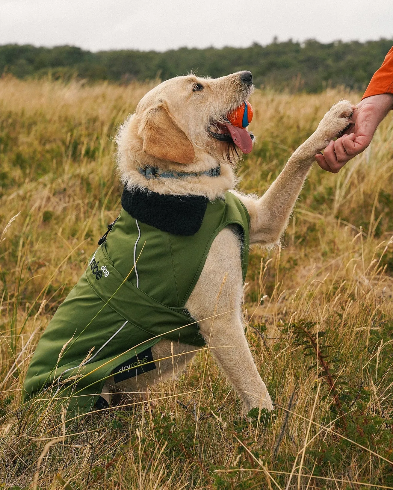 Dog Dryrobe in Forest Green & Black