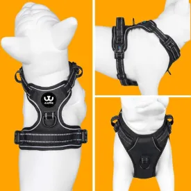 Dog Harness, Adjustable Soft Padded Dog Vest with Handle Adjustable, no-Pull, Comfortable, Safety Vest for Small, Medium, Large Size Dogs (Black, Small)