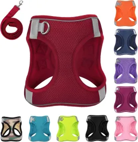 Dog Harness with Leash Set, No-Pull Step-in Reflective Pet Harness with 1 Leash Clips, Adjustable Soft Padded Easy Walk Dog Vest for Small Medium Large Dogs, Cats(Bright Red, XXSmall)