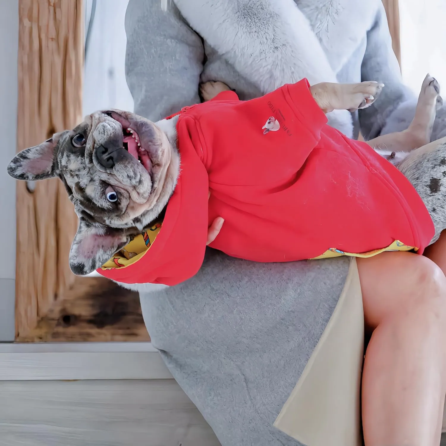 Dog Hoodie  Red Fleece-Lined Dog Sweatshirt with Zipper  Small, Medium & Large Dog Hoodie for French Bulldogs, Pugs, Boston Terriers, Pitbulls  French Bulldog Clothes for Cold Weather  XS