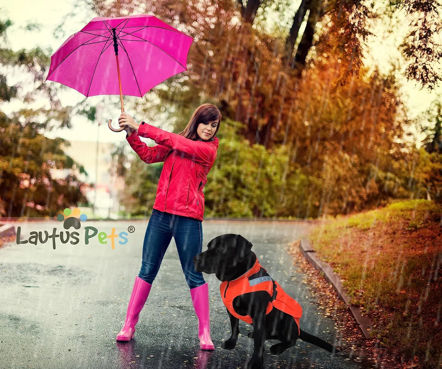 Dog Rain Coat - Waterproof, Reflective, Bright Orange with Leash Hole (XL, Orange)