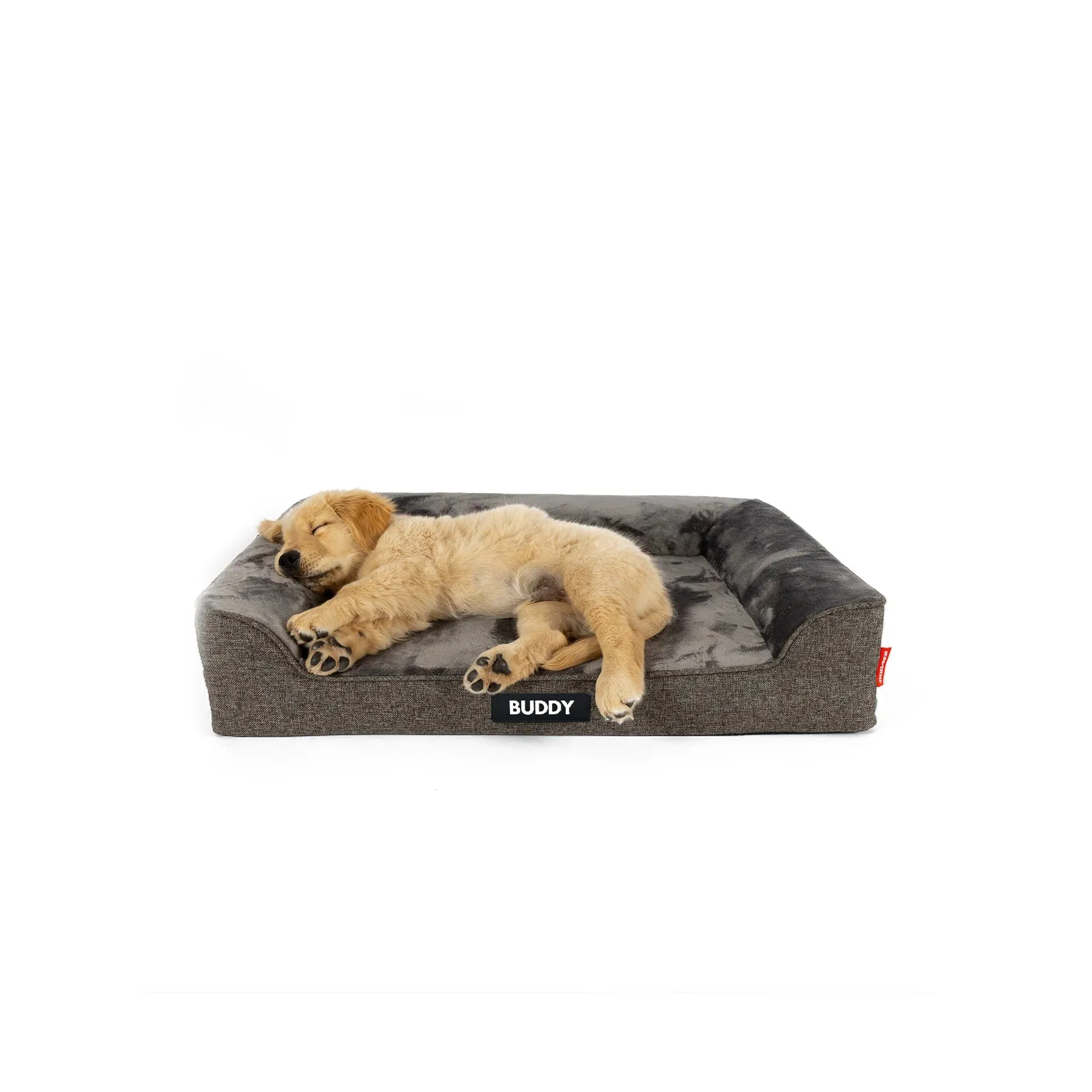 Ezydog Next Gen Ortho Lounger Dog Bed Medium^^^