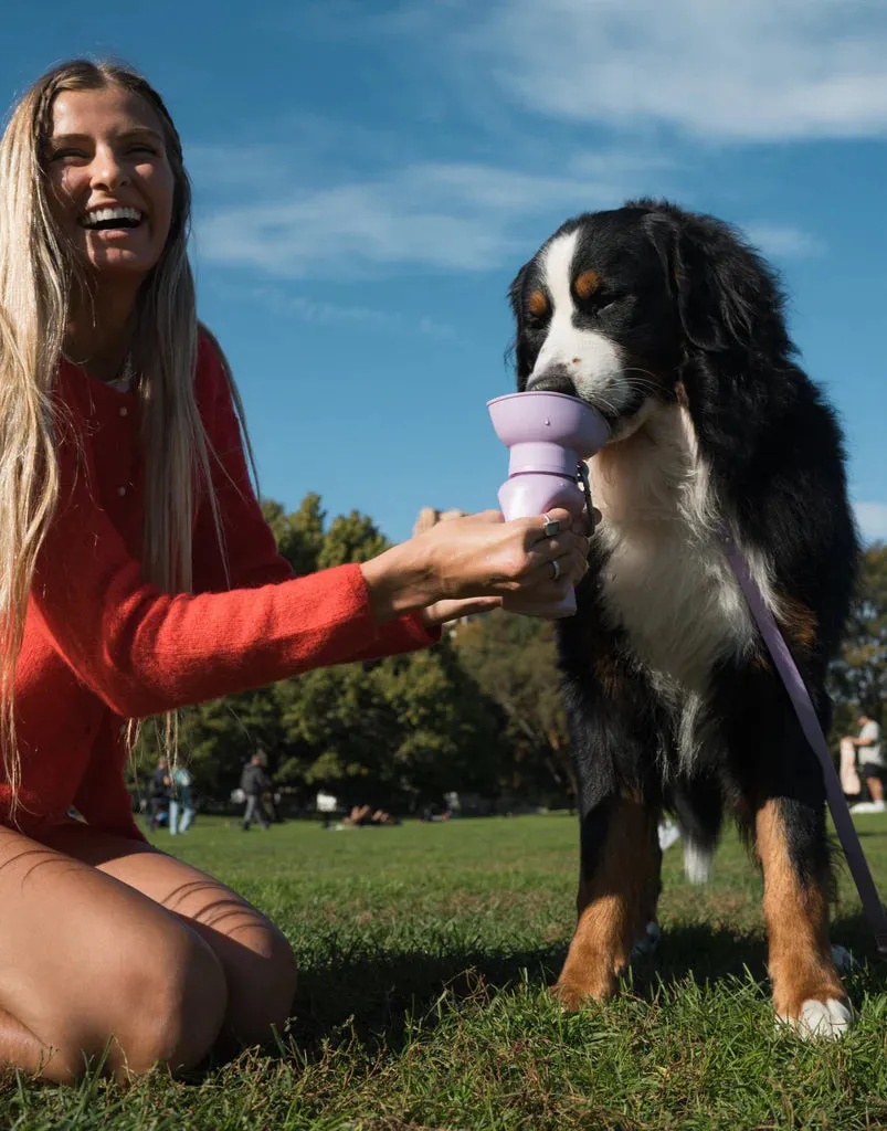 Flip Dog Travel Bottle 20oz - Lilac