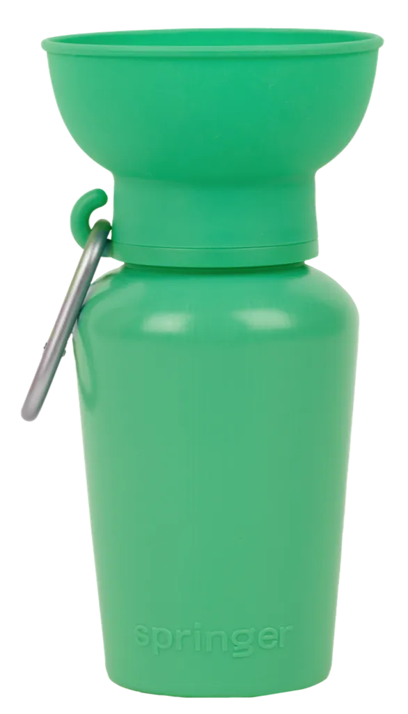 Flip Dog Travel Bottle 20oz - Springer Green