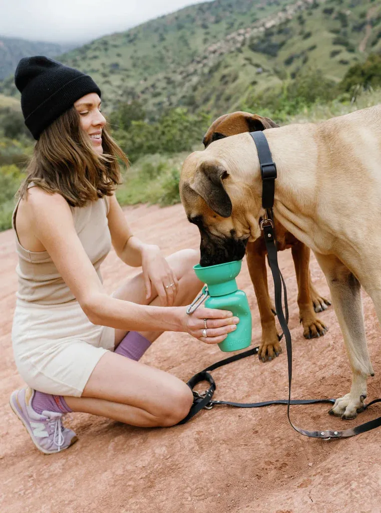 Flip Dog Travel Bottle 20oz - Springer Green