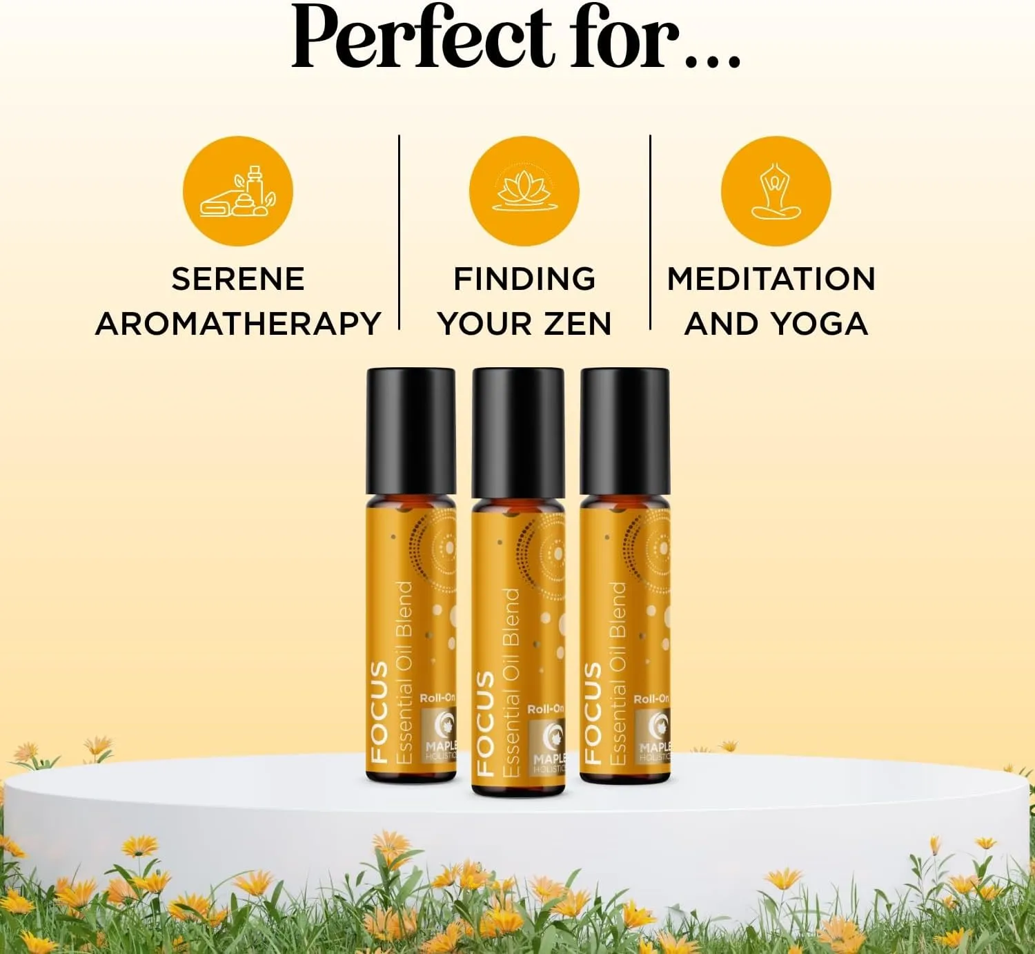 Focus Essential Oil Roll On - Aromatherapy Essential Oil Roller with Invigorating Pure Citrus and Mint Oils - Attention and Focus Essential Oil Blend with Eucalyptus Peppermint & Grapefruit (3 Pack)
