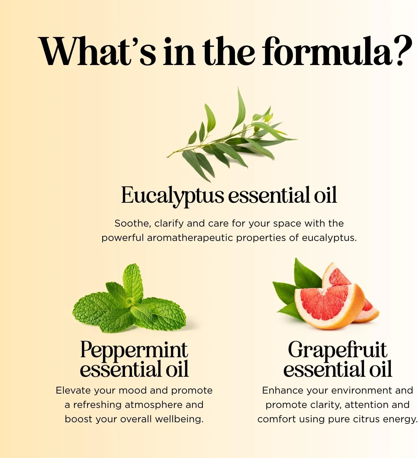 Focus Essential Oil Roll On - Aromatherapy Essential Oil Roller with Invigorating Pure Citrus and Mint Oils - Attention and Focus Essential Oil Blend with Eucalyptus Peppermint & Grapefruit (3 Pack)