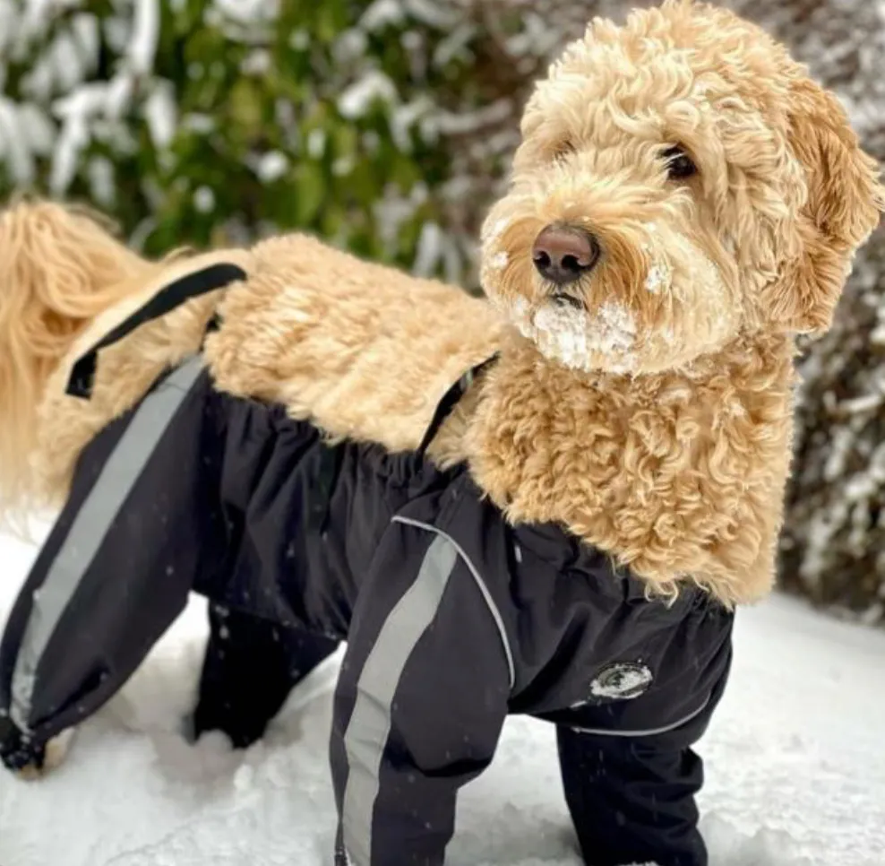 FouFouBrands Bodyguard Dog Pants - Various Colours