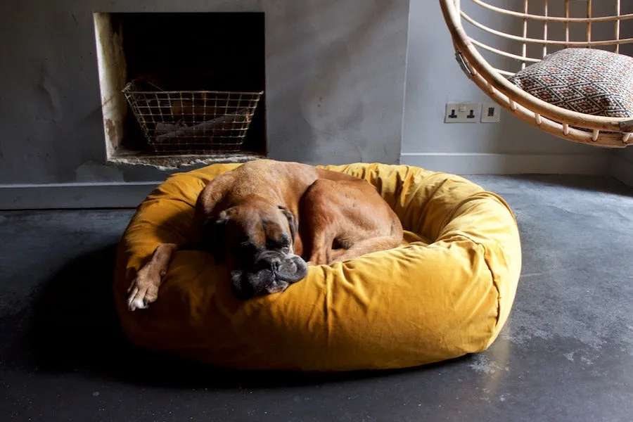 GOLD VELVET DOG BED