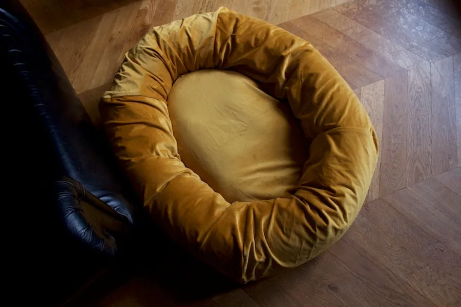 GOLD VELVET DOG BED